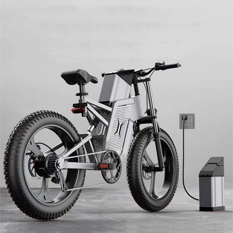 HoppyLect - Hybrid all-terrain electric bike combining power, comfort and long range