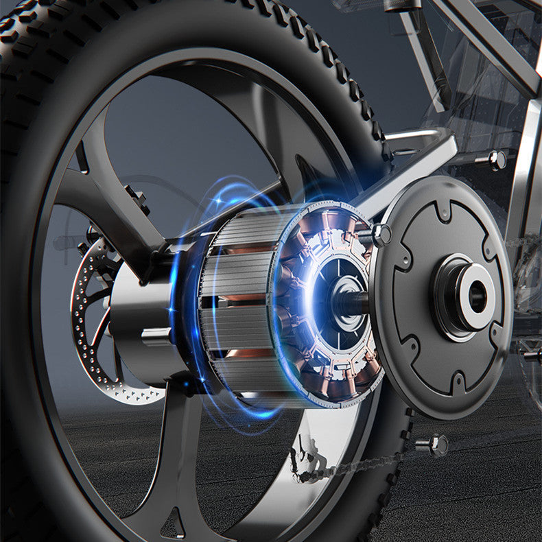HoppyLect - Hybrid all-terrain electric bike combining power, comfort and long range