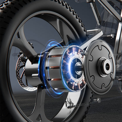 HoppyLect - Hybrid all-terrain electric bike combining power, comfort and long range