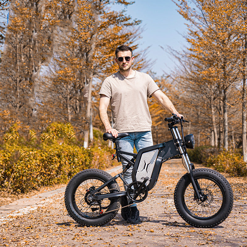 HoppyLect - Hybrid all-terrain electric bike combining power, comfort and long range