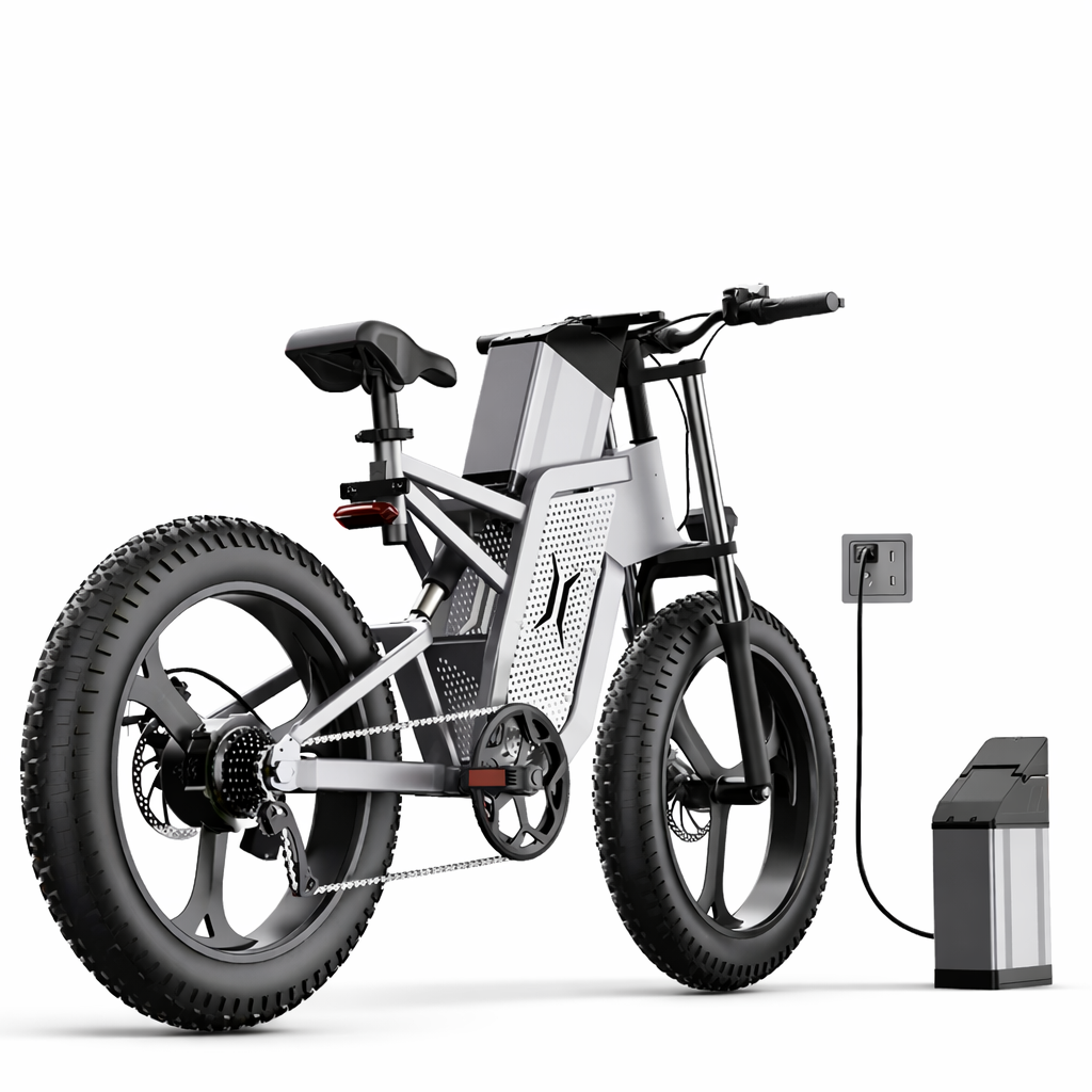 HoppyLect - Hybrid all-terrain electric bike combining power, comfort and long range SportiveArena