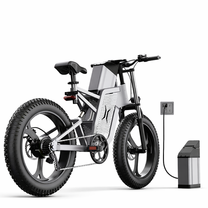 HoppyLect - Hybrid all-terrain electric bike combining power, comfort and long range SportiveArena
